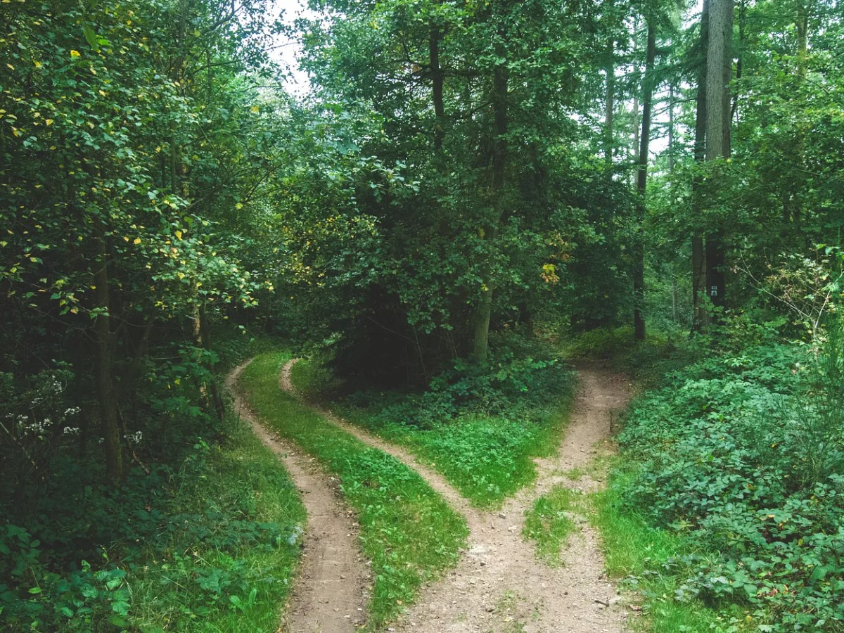 I worked at 3 different companies in 3 different roles in&nbsp;2021